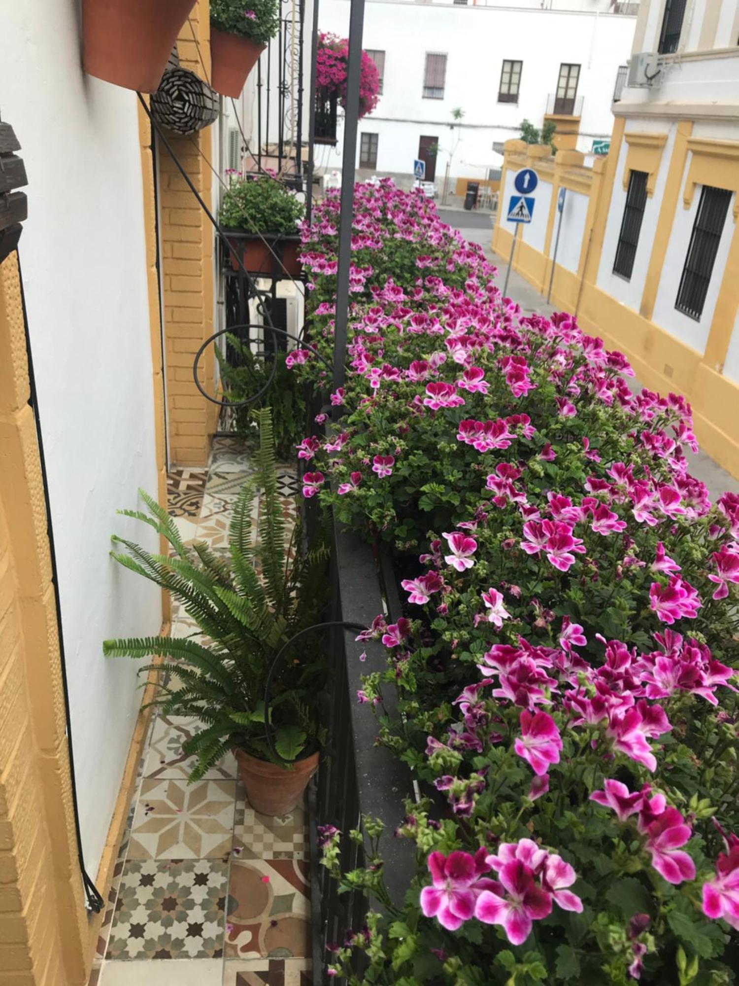 Casa El Balcon De Lopez Dieguez Holiday home